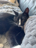 /album/09-11-2025/afbeelding-van-whatsapp-op-2025-11-07-om-12-31-43-3ce17caf-jpg/